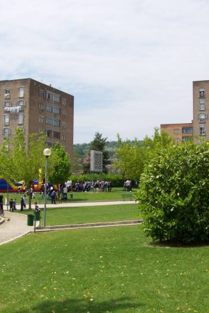 Festa Primav 2011 041